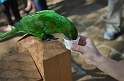 Kids_DZoo-SBreak2012 (165)